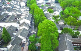 练塘网红,网红打卡地，古韵新潮的江南水乡之旅
