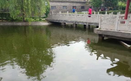 亳州网红断桥,古韵新潮，打卡必去的地标奇观