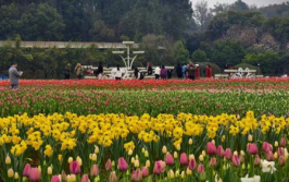 湖南省植物园门票,需提前预约入园