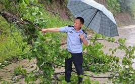 蜂岩网红,揭秘网络红人的蜂岩传奇之旅