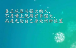 人生感悟最精辟的段子,感悟生活的智慧之光