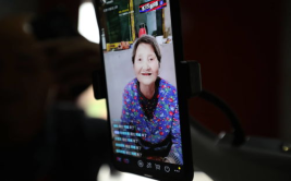 网红卖杏,杏子热销背后的故事
