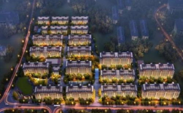 桐乡话网红,方言魅力席卷网络，本土文化新风尚