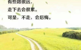正能量文章励志短文500字,成就非凡人生