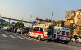 网红路事故,揭秘网络直播背后的安全隐患”